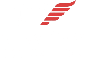 New Sky Education